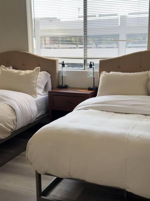 Modern Retreat 1 Mi. From Disney 阿纳海姆 外观 照片